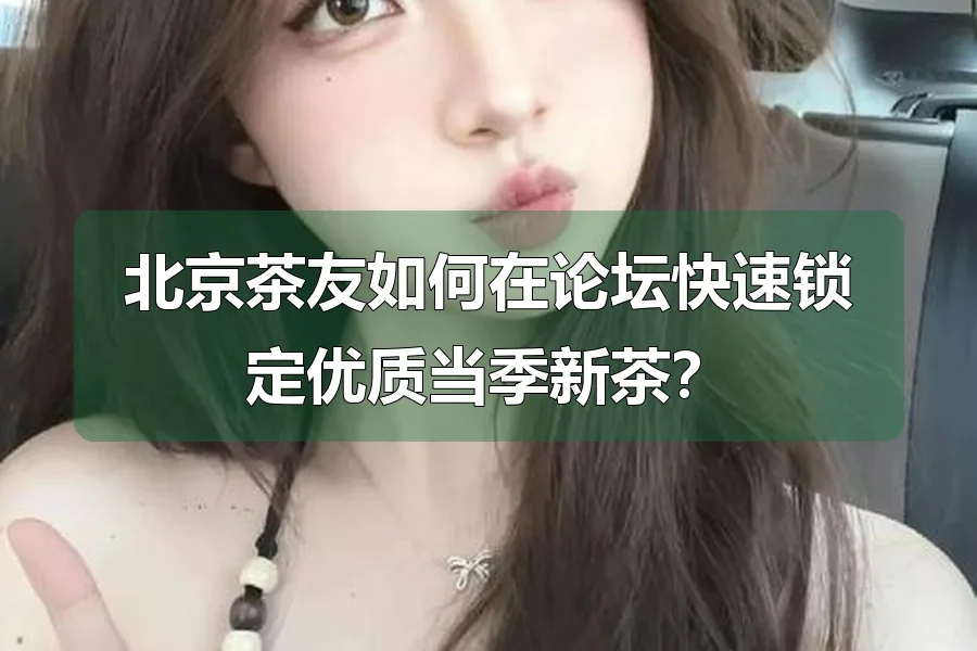北京茶友如何在论坛快速锁定优质当季新茶？